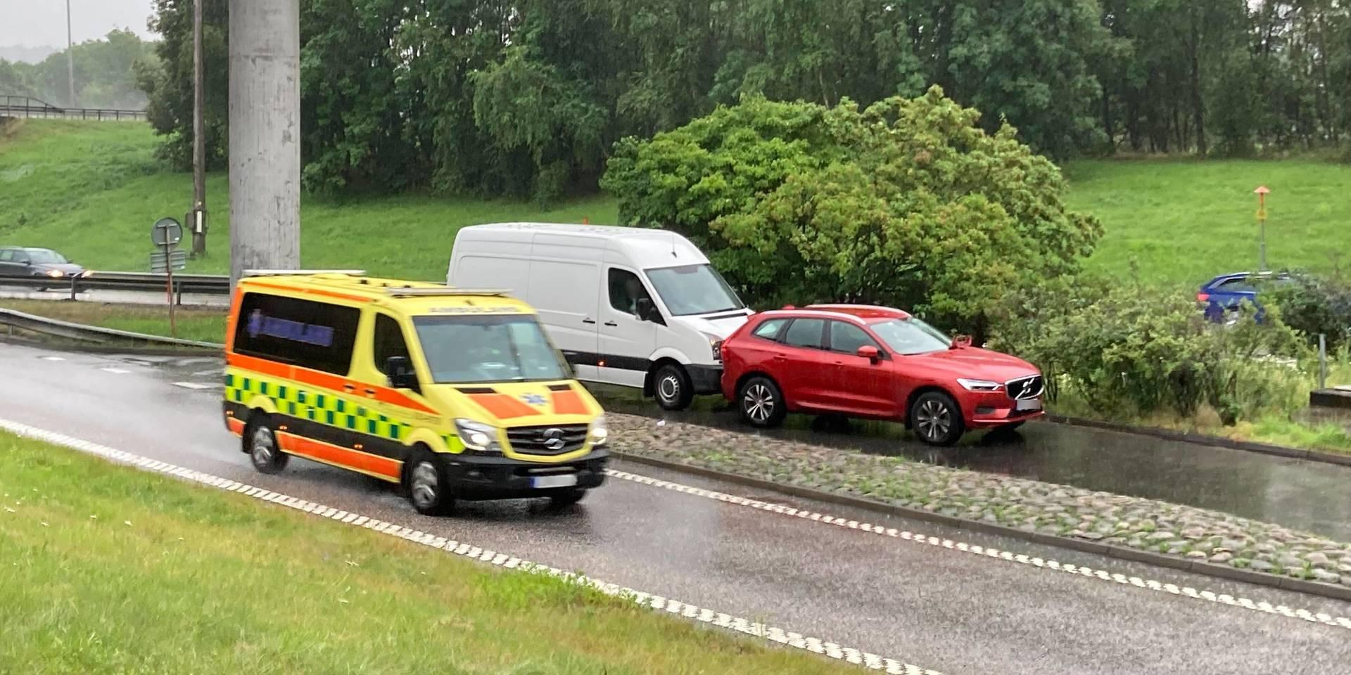 En personbil krockade med en älg på måndagen. Föraren ska enligt polis vara chockad, men klarat sig utan några andra personskador.