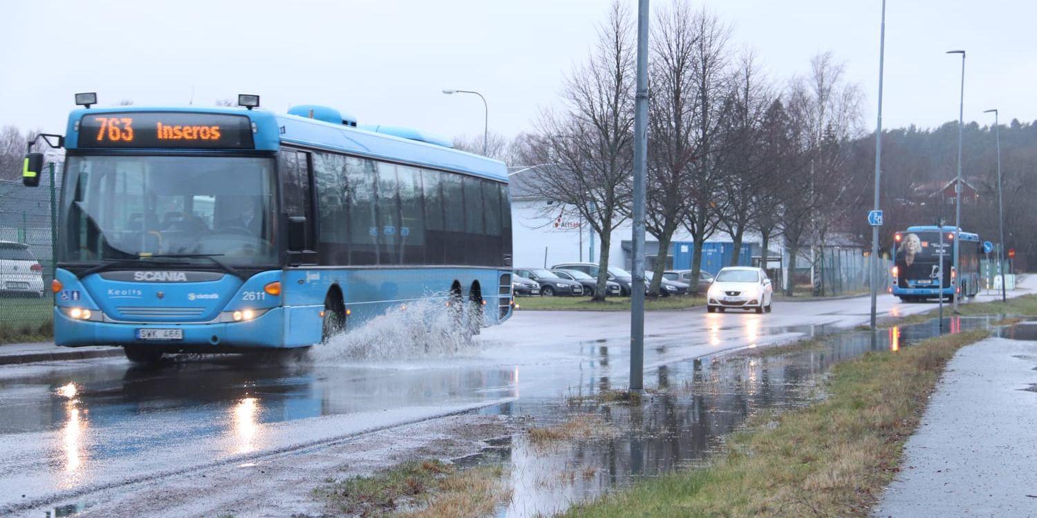 Bilden är en arkivbild.