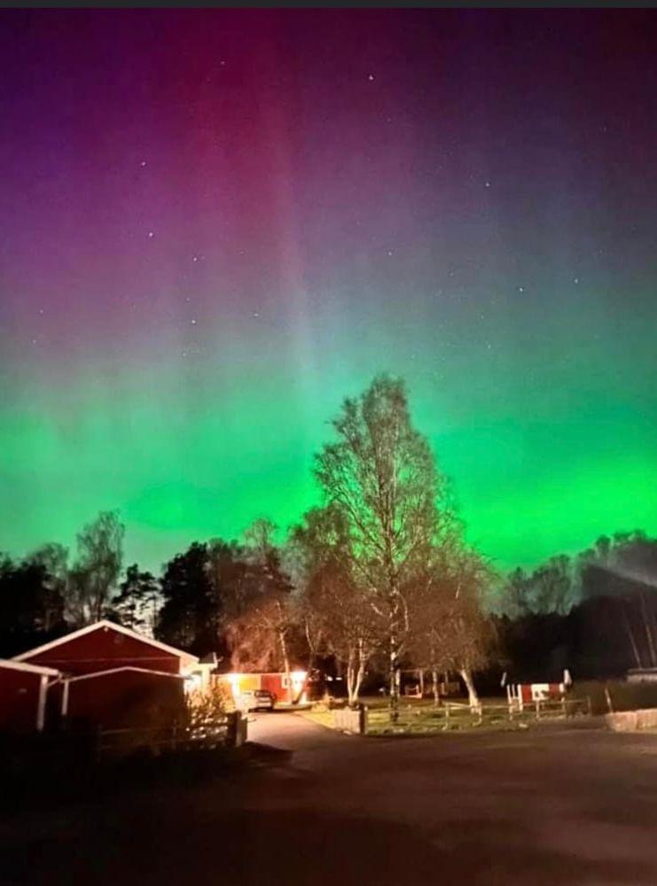 Torpa-Dala utanför Fjärås 23 mars.