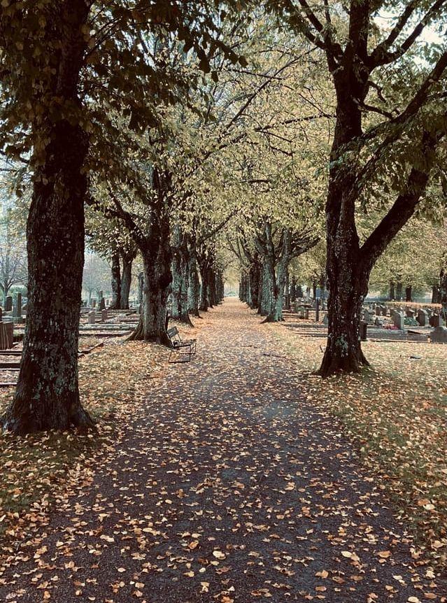 Kikås kyrkogård 23/10-2022. På väg in i Mölndalshösten genom trädporten.