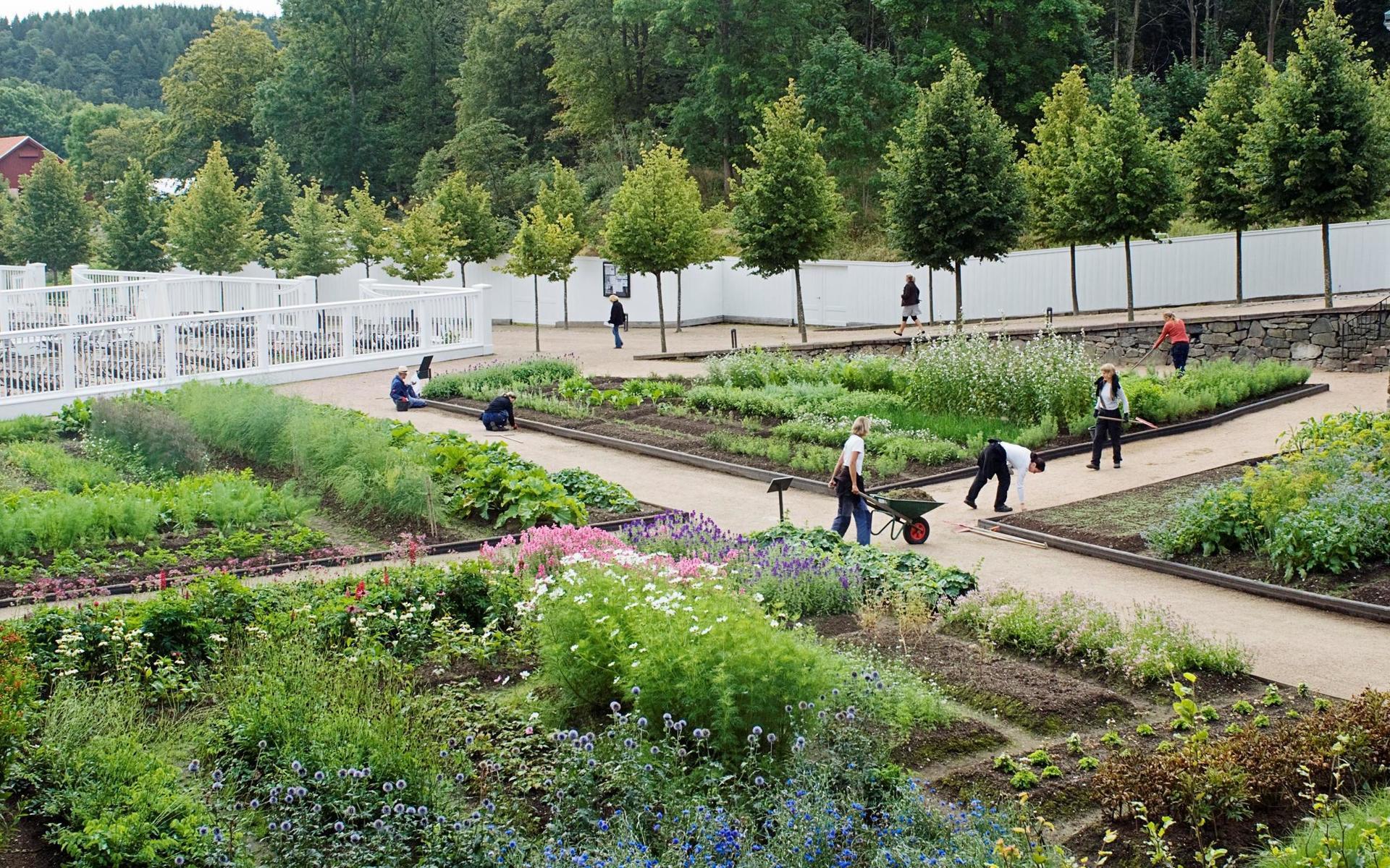 Köksträdgården.