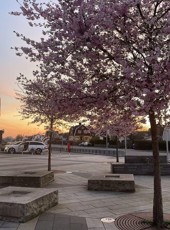 Torsdagen den 20 april på Frölundagatan 35 A Mölndal.