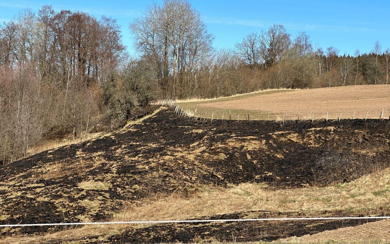 ... men räddningstjänsten Särf avrådde från eldning. Här en kontrollerad eldning i Björketorp. 