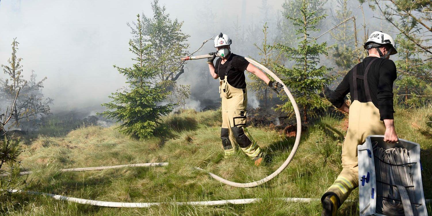 Brandmän bekämpar en av alla bränder som hittills blossat upp.