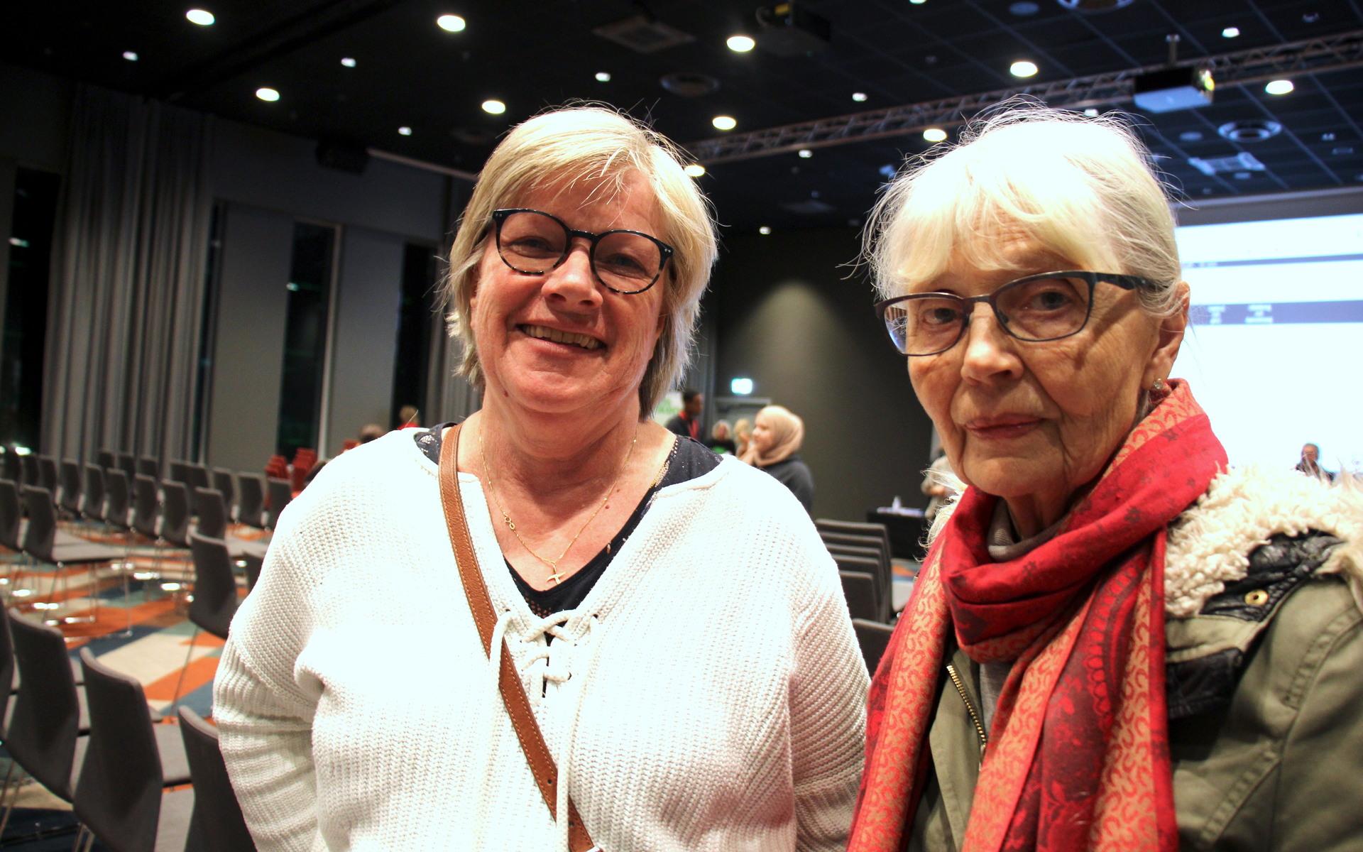 Lindomebon Gudrun Wannebo och hennes vän Annika Beckung hade sökt sig till evenemanget. ”Mölndal är en lagom stor stad för att kunna fånga in det här. Det är svårare i Göteborg”, säger Annika, som har en ukrainsk familj boende hos sig. 