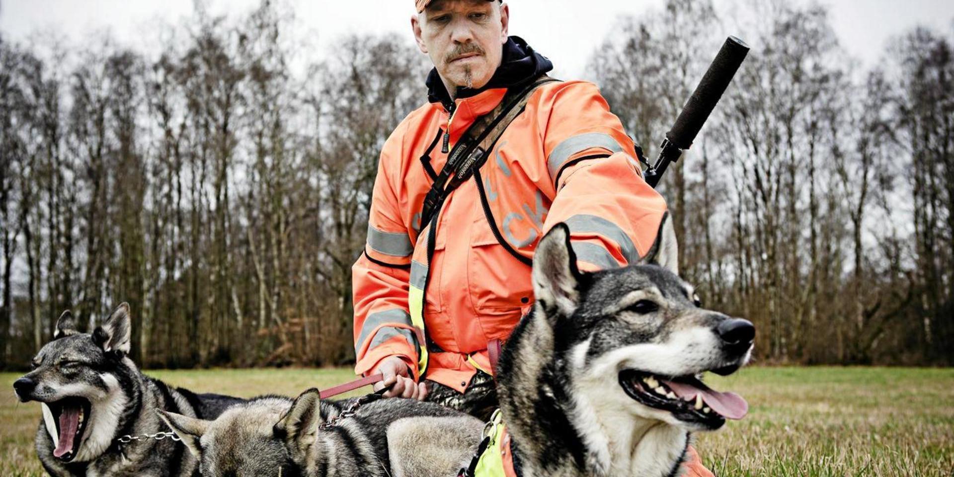 Patrik Bohman med jämthundarna Sigge, Ställa och Sally. 