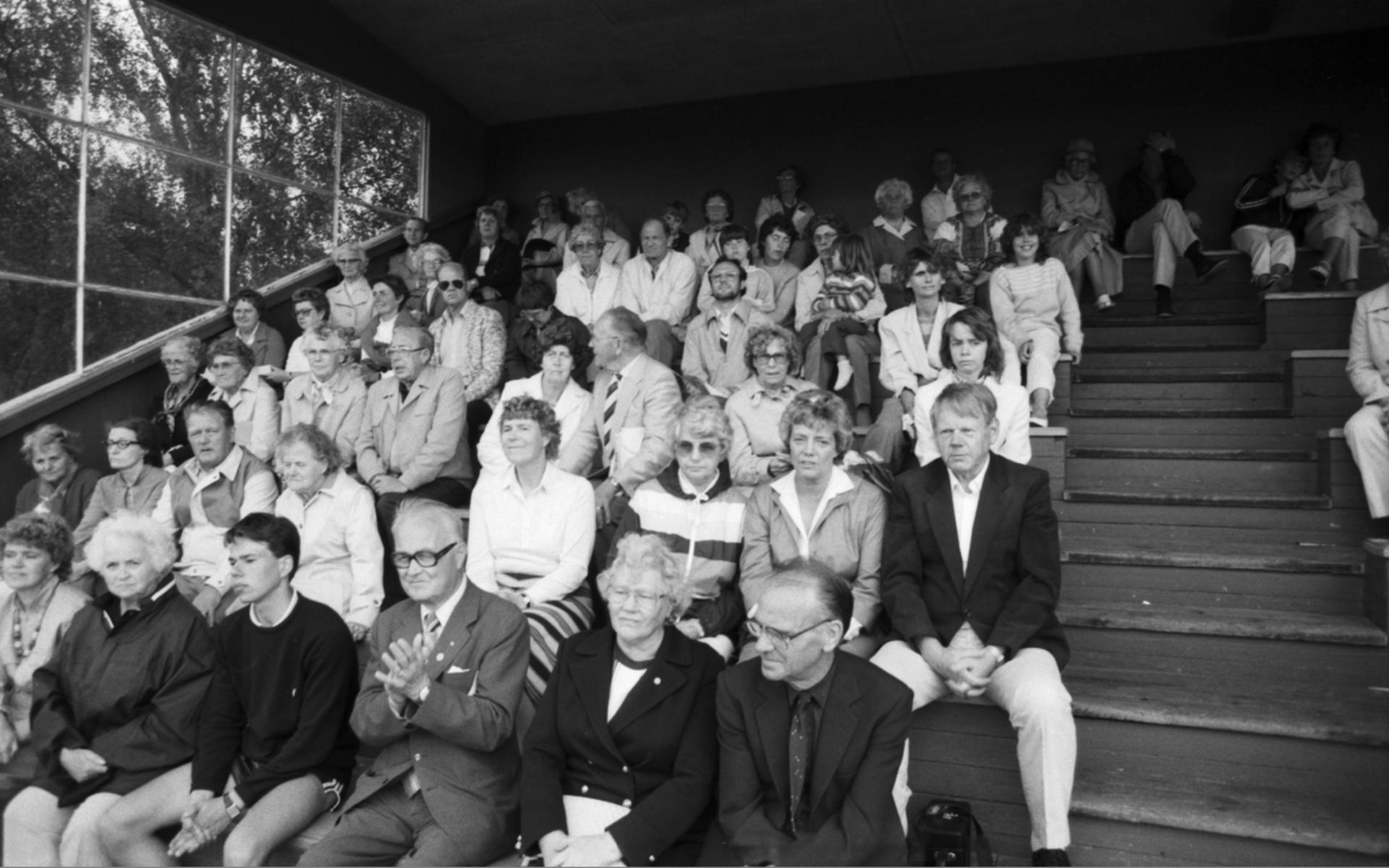 Firande av svenska flaggans dag 1982.