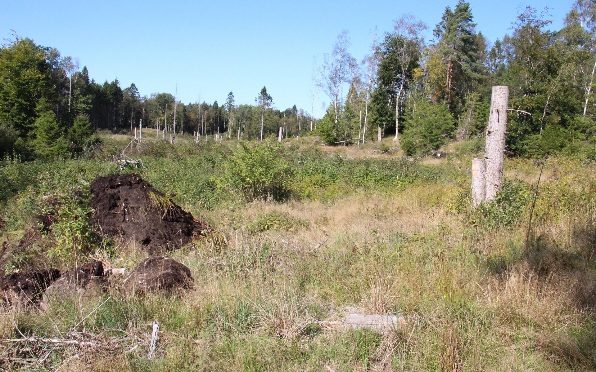 Totalt blir våtmarken tre och en halv hektar, vilket motsvar nästan fem fotbollsplaner. 