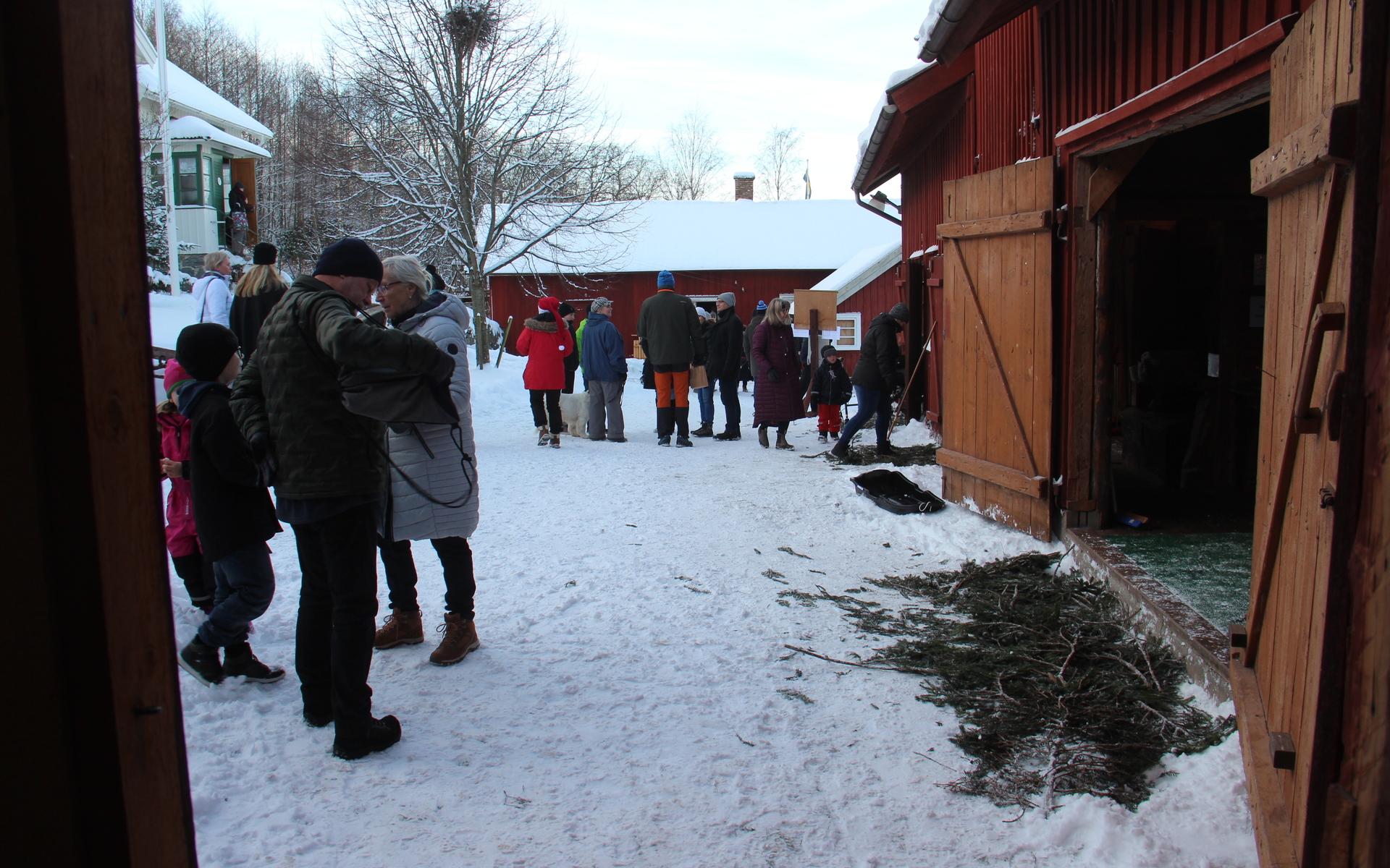 Snön bidrog till en idyllisk stämning på gården. 